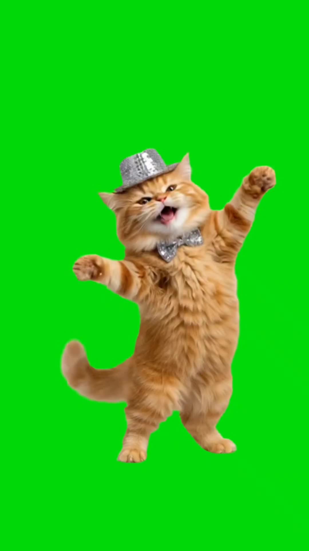 @Crazy Editor