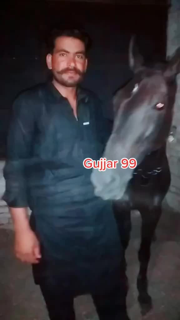 @Ch Shani Gujjar 99