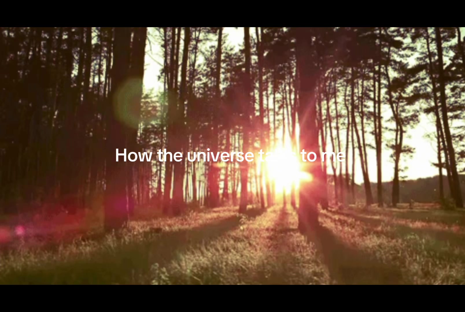 @Manifest your life today