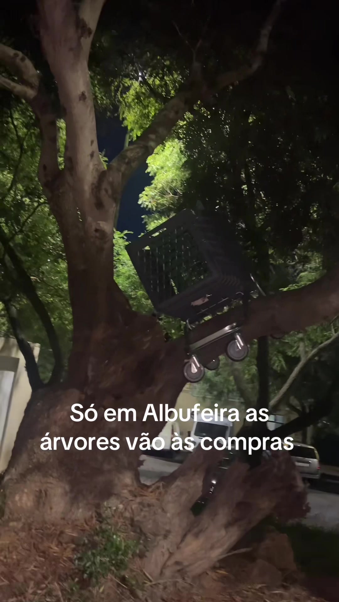 @carolinasofia20