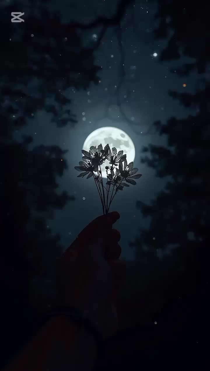 @mindsetpositif