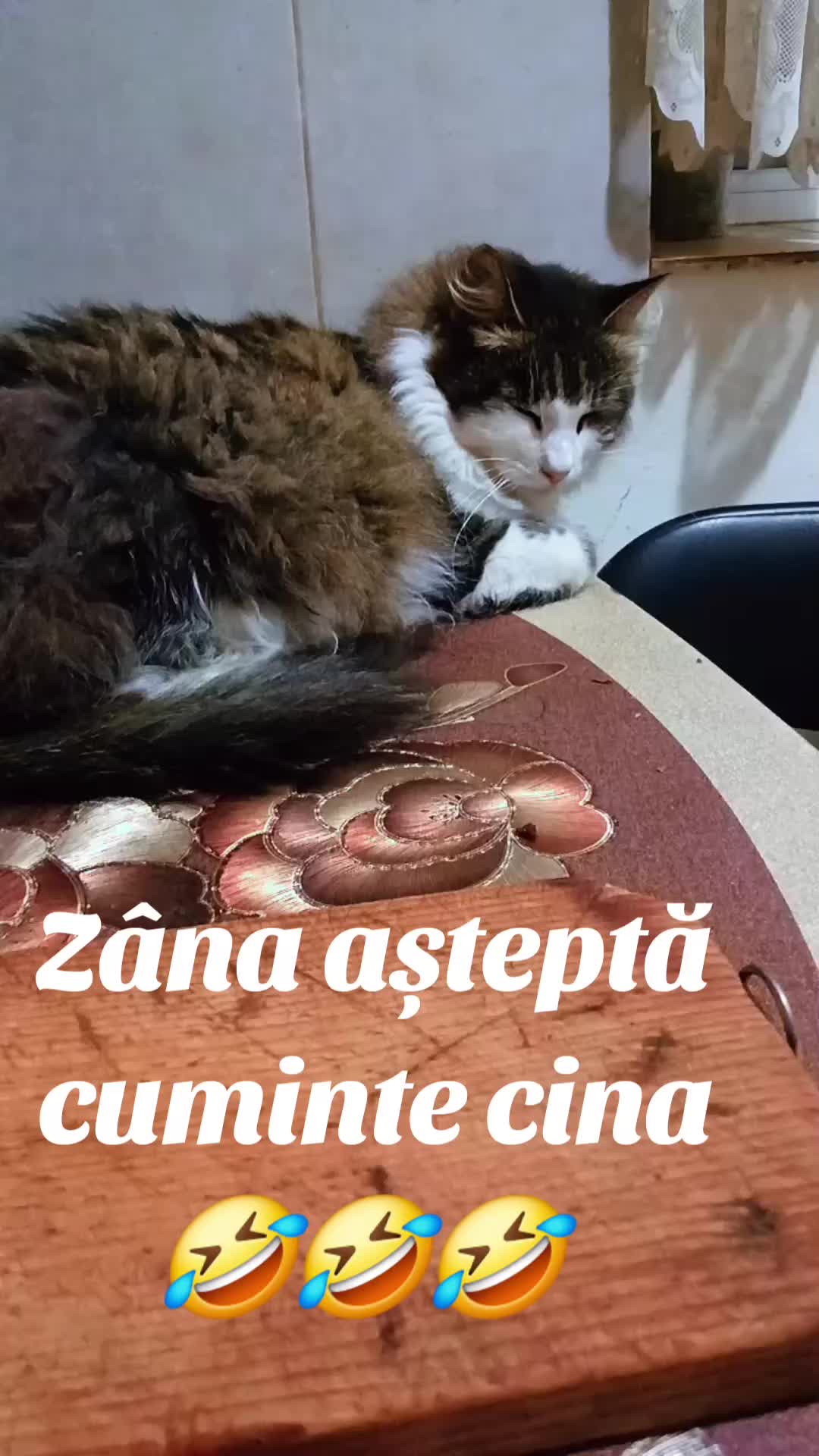 @Catalin Postolache
