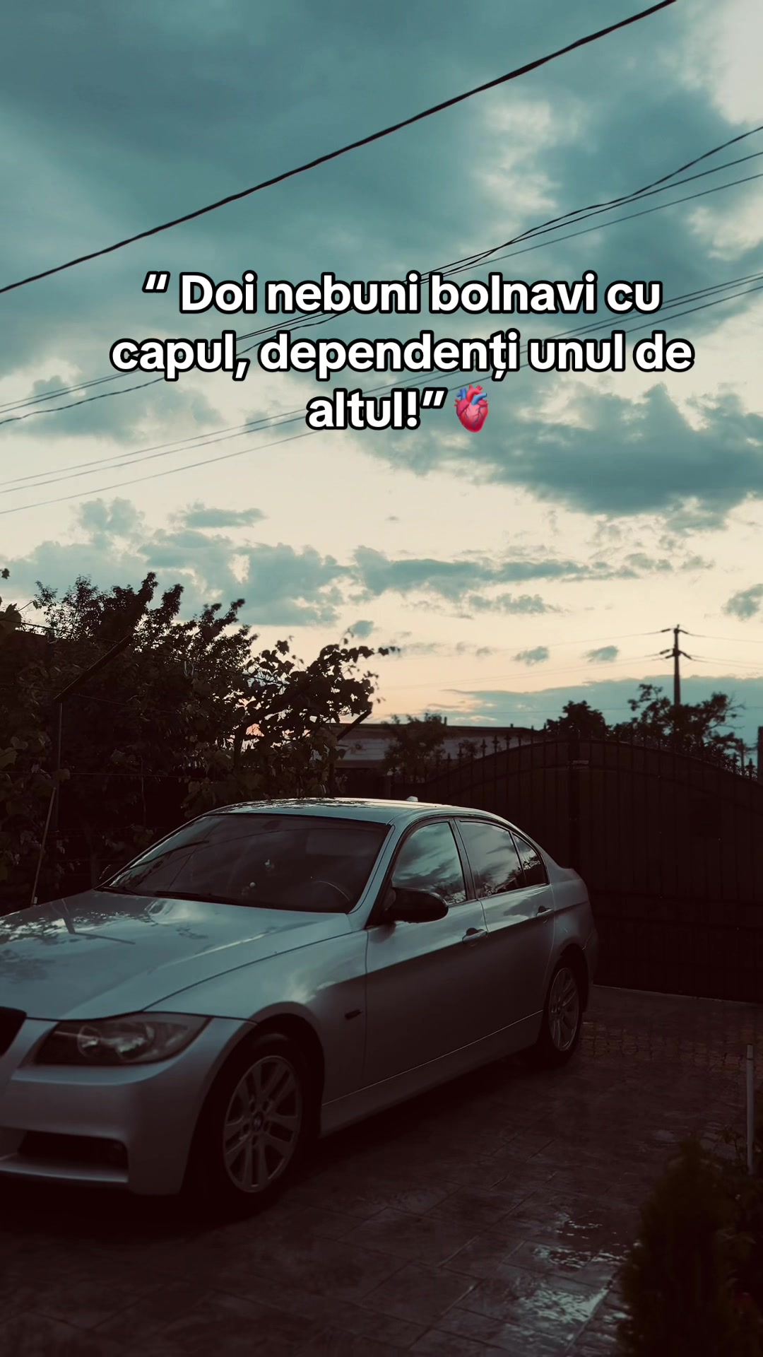 @ENE🩶