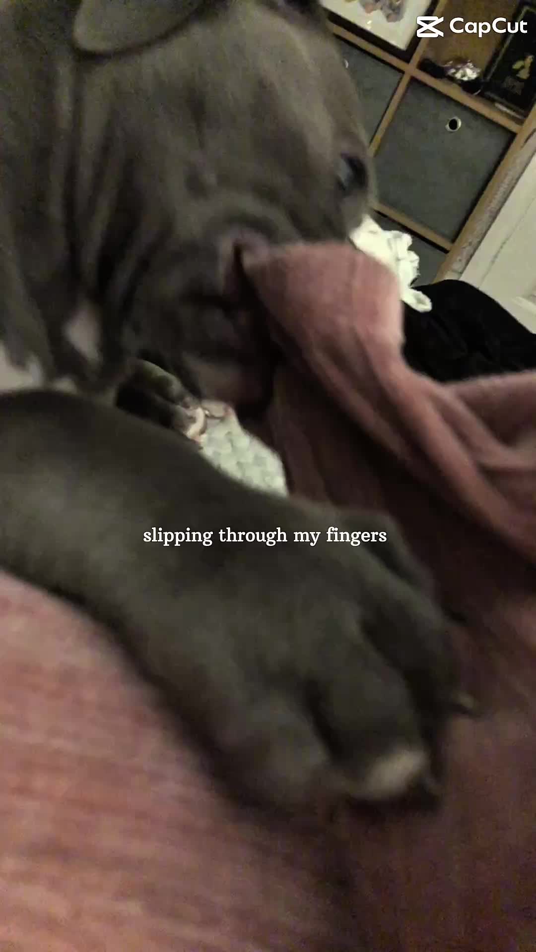 @Georgia2002G