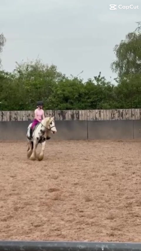 @G May Eq