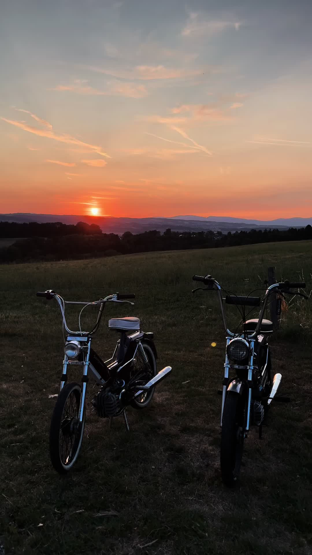 @Black_Puch_swiss