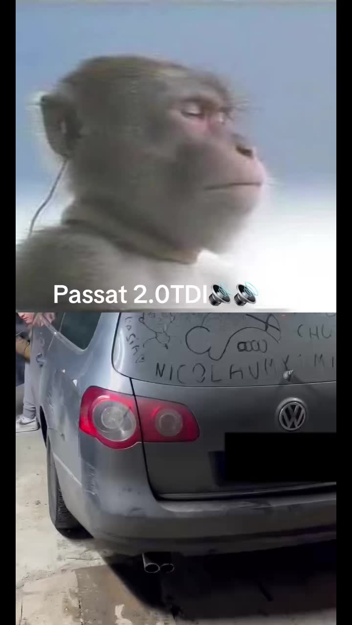 @N1UT0N