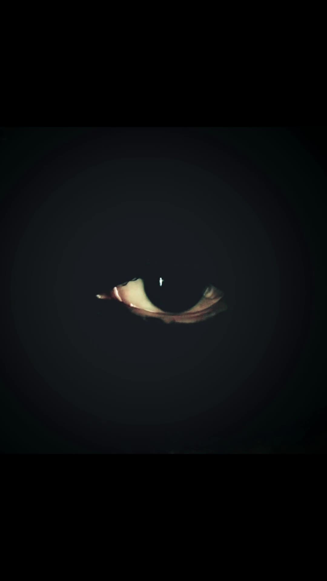 @Aldorfrea
