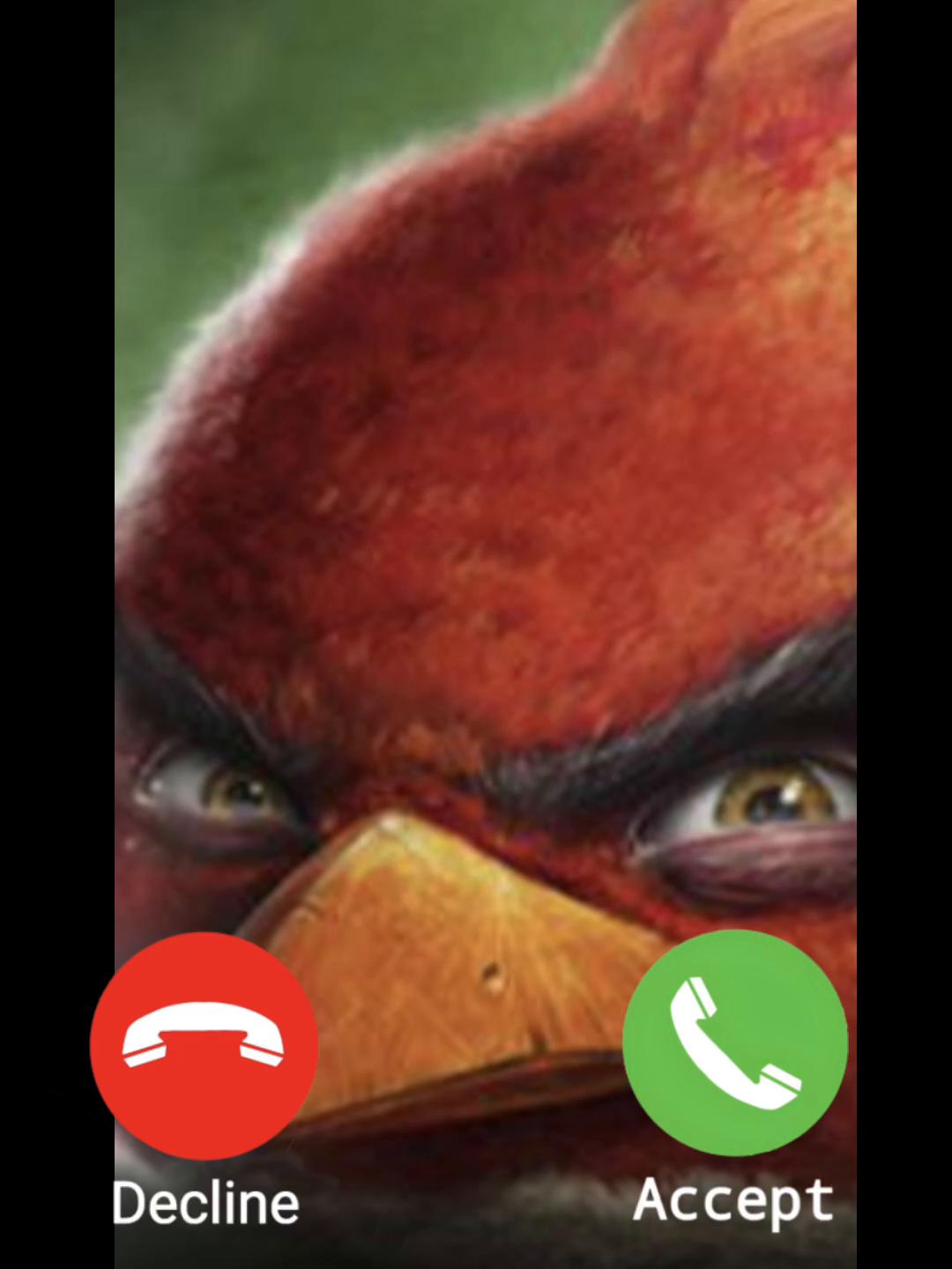 @Angry Birds