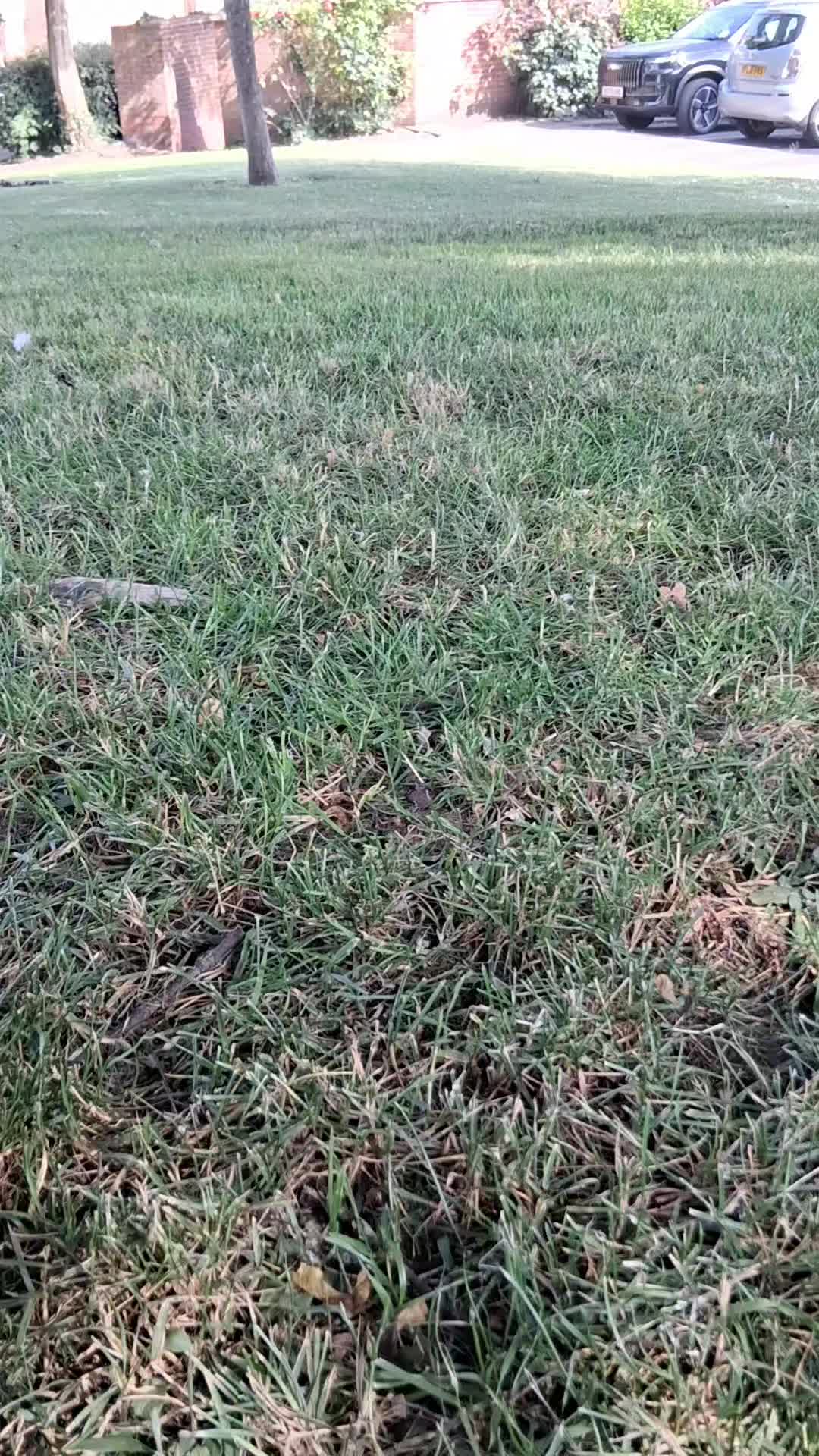 @ايات قرانية