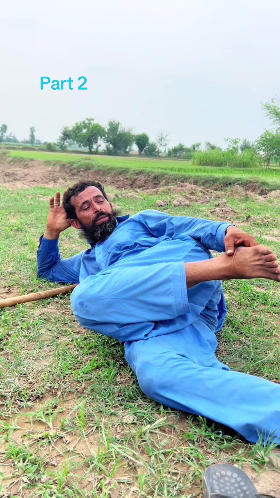 @پینڈو بوائز 378