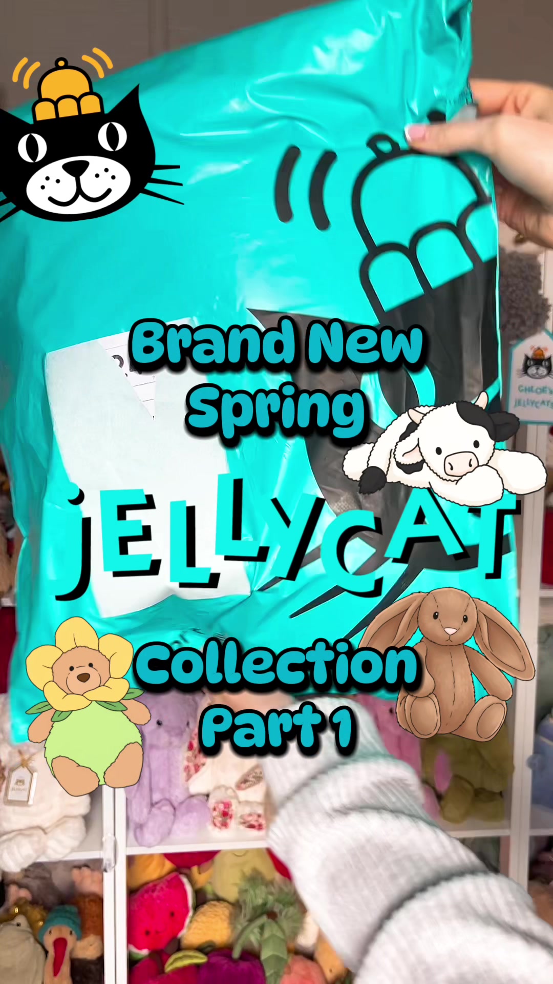 @Jellycat&ensp;Lover&ensp;♡