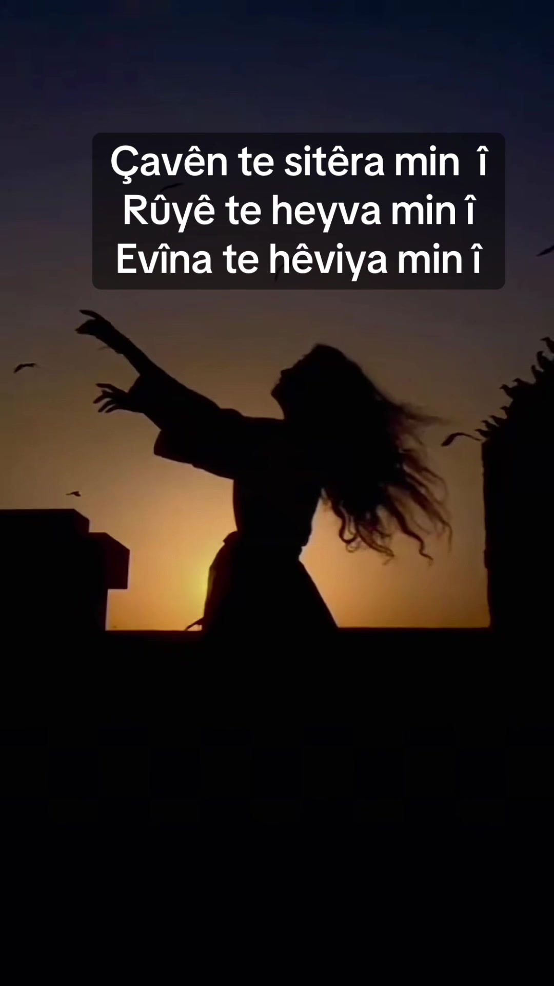 @Pela 2903