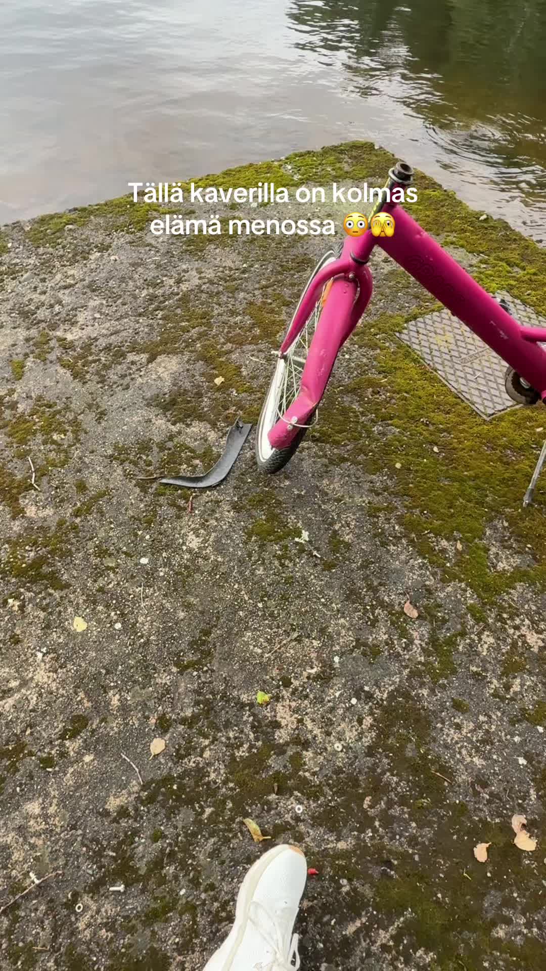 @RonjaJosefiina