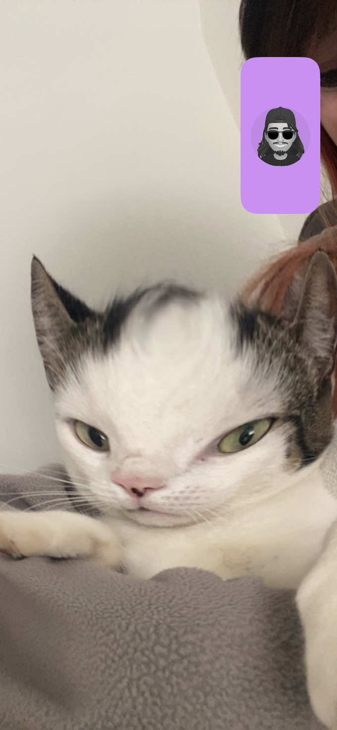 @๐๐๐๐๐โหโนโ