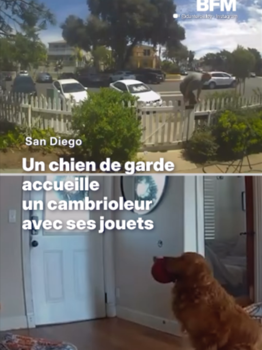 @BFMTV