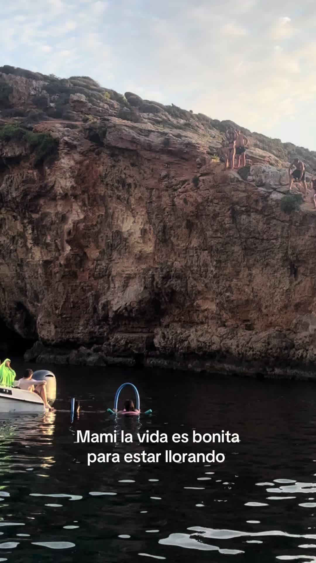 @albabustoos🐾