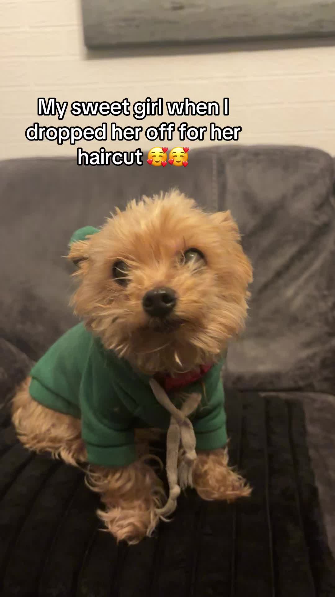 @hcsmith333x