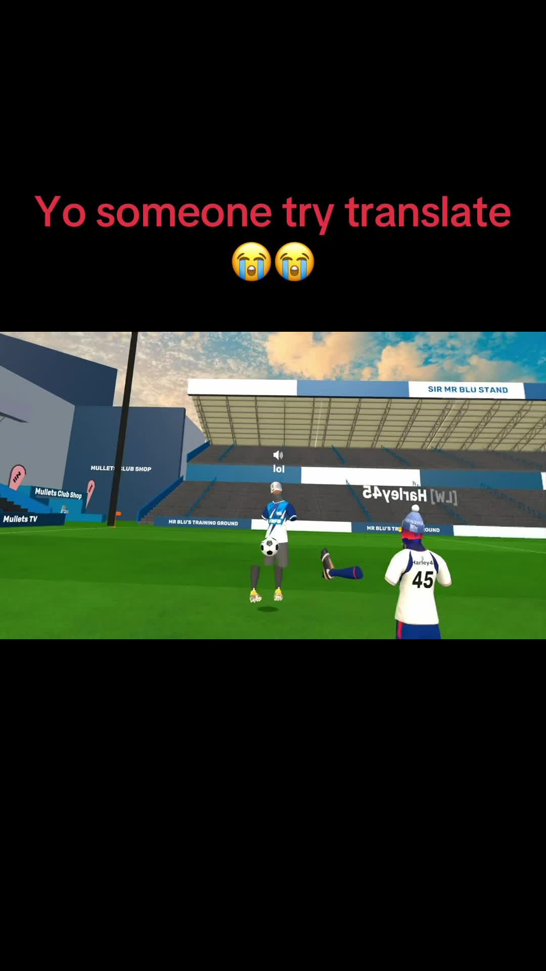 @pibblevrfs