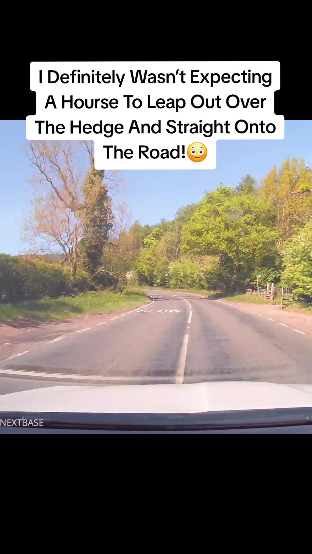 @Dashcam Videos