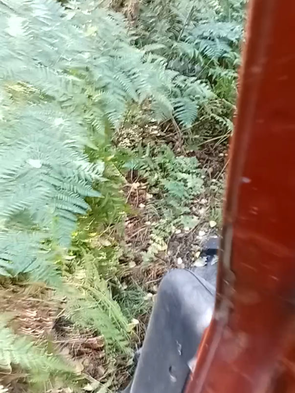 @LEMPEÄ JÄTTI