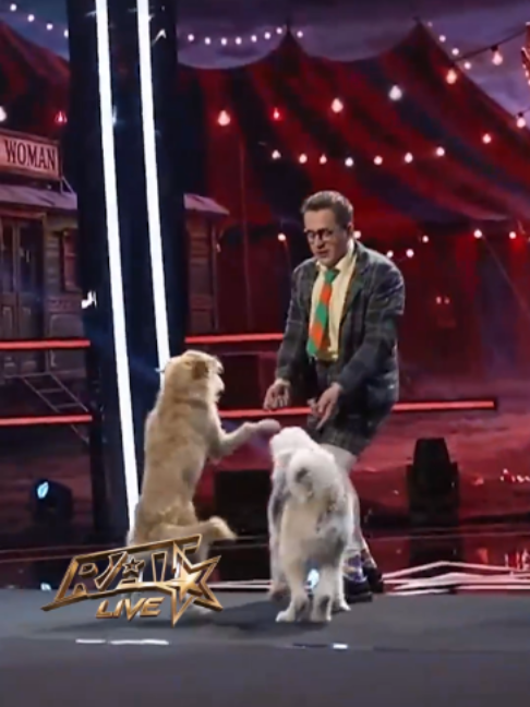 @romaniiautalent