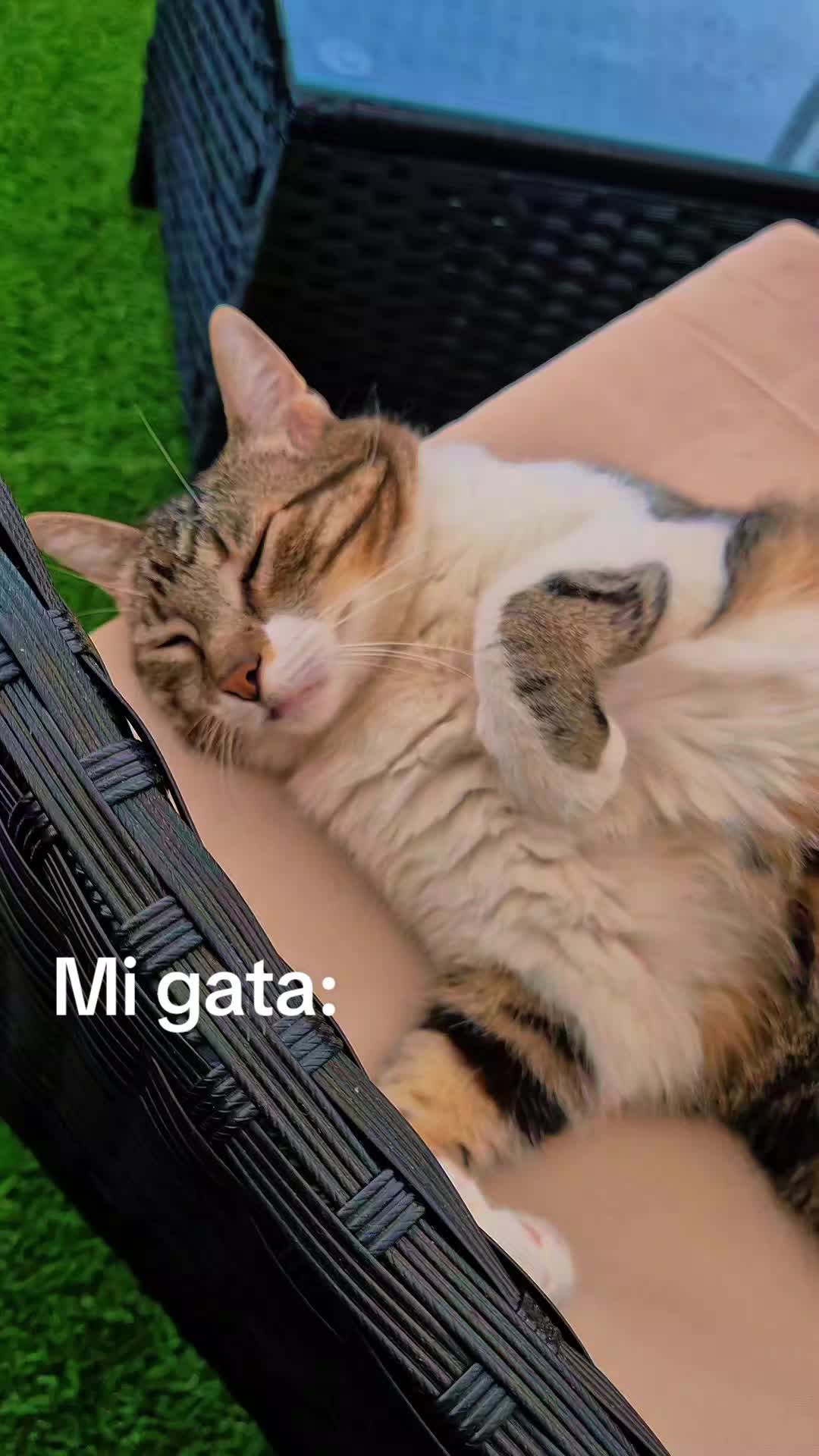 @Rocio Qui&ntilde;onez