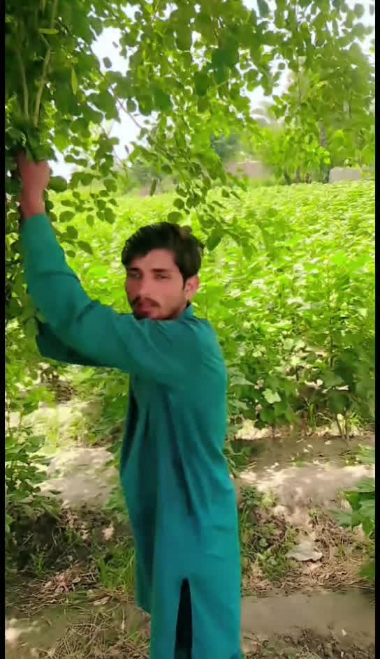 @M Nazim0786