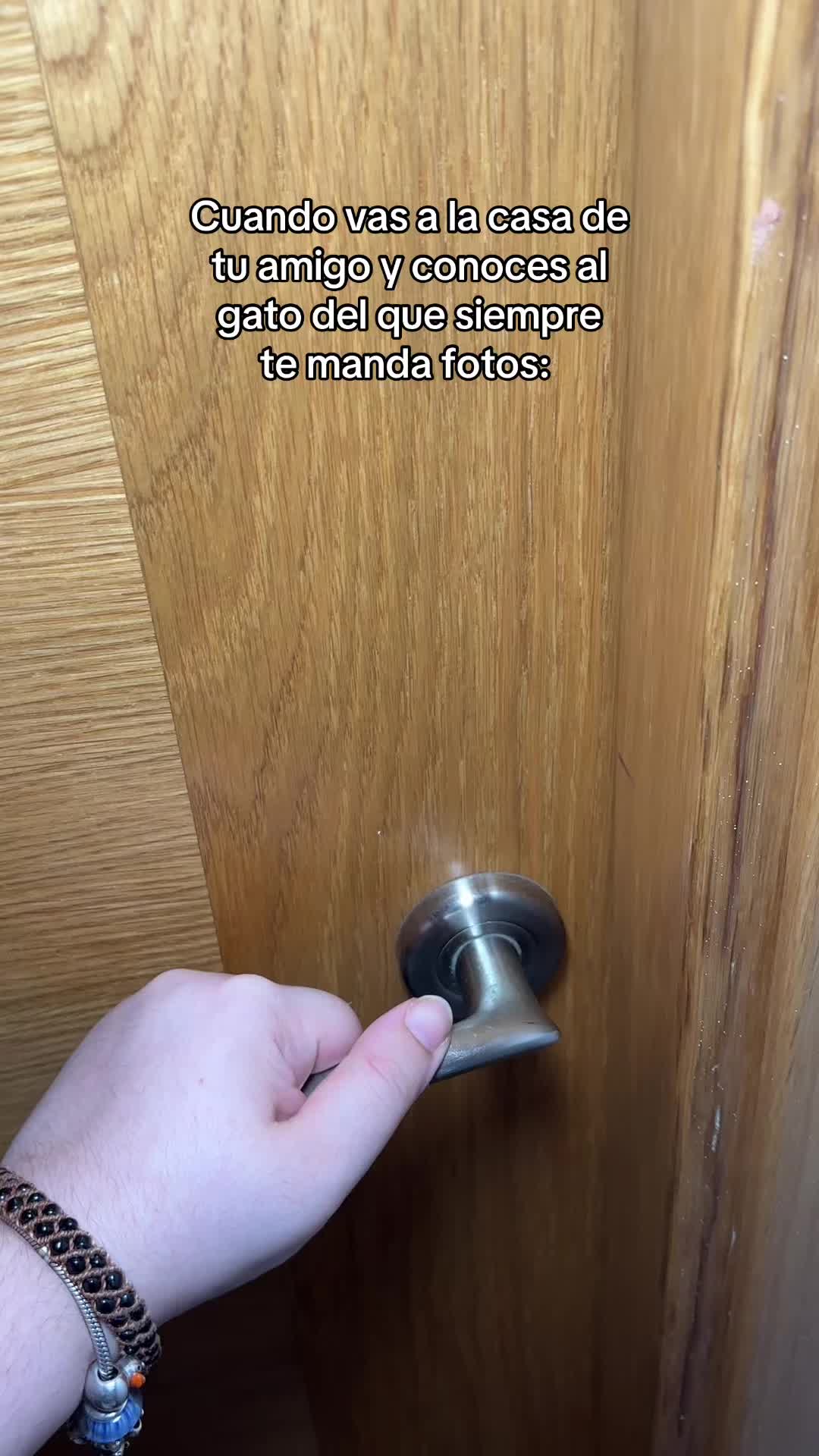@- Alejandra 🐱💕