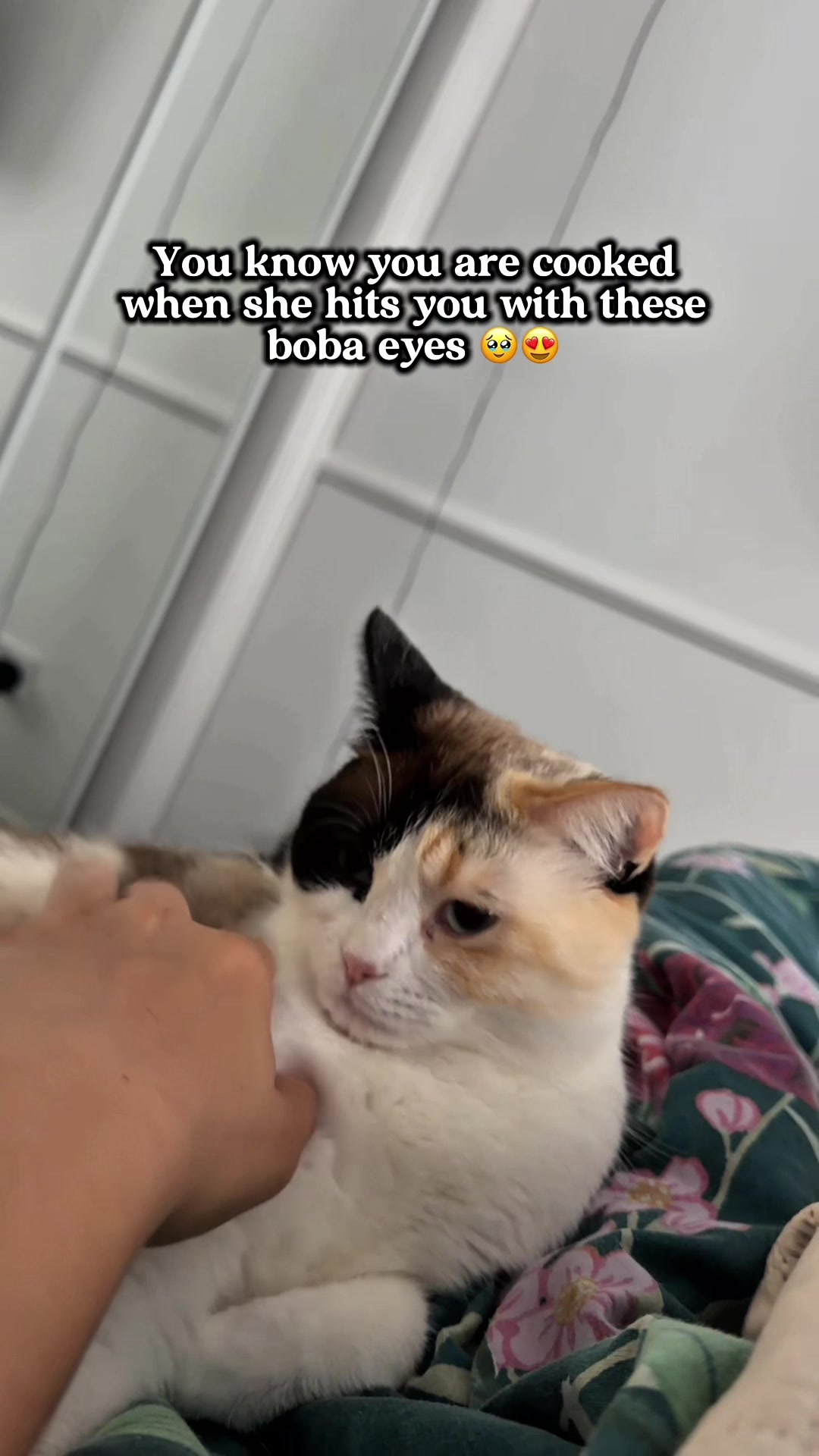 @slavic_cat_mum