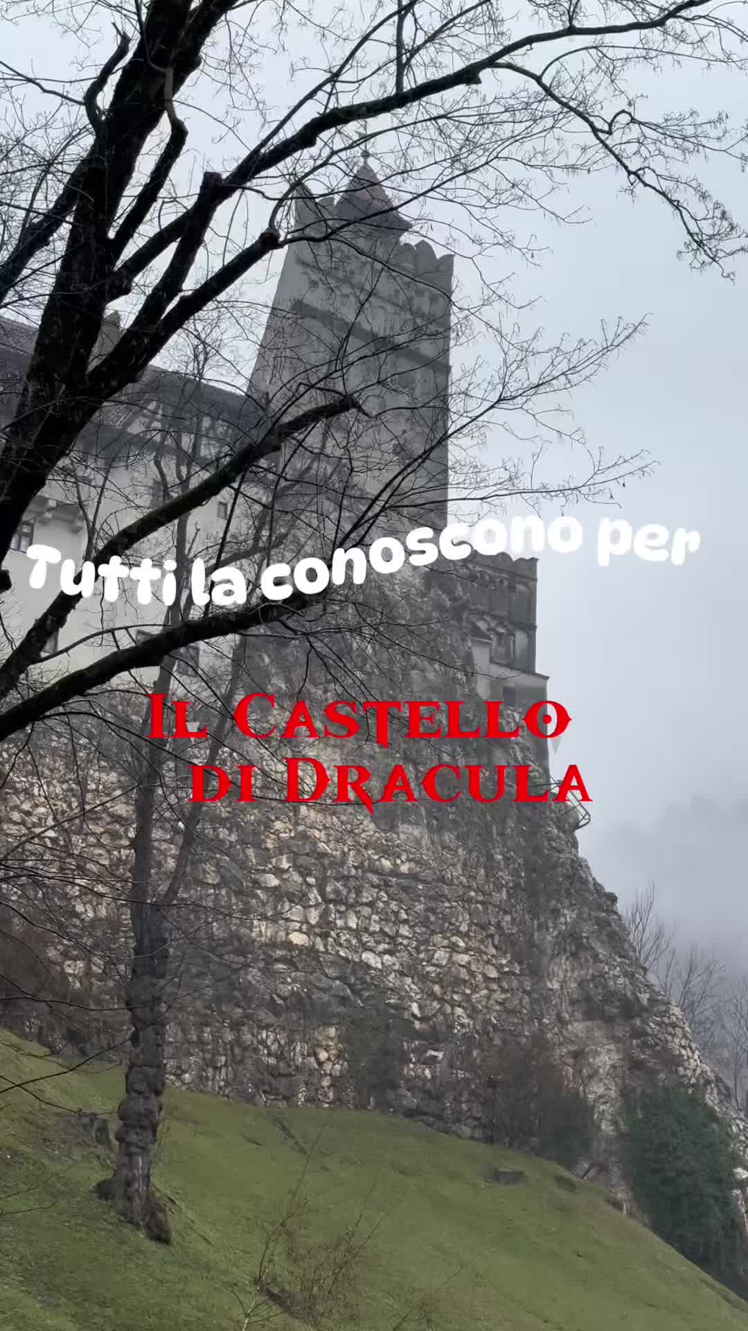 @ilmondosecondoluisa