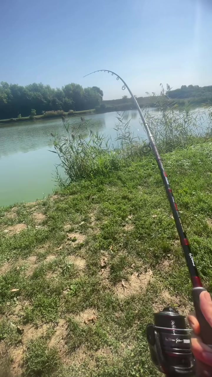@Kosztics