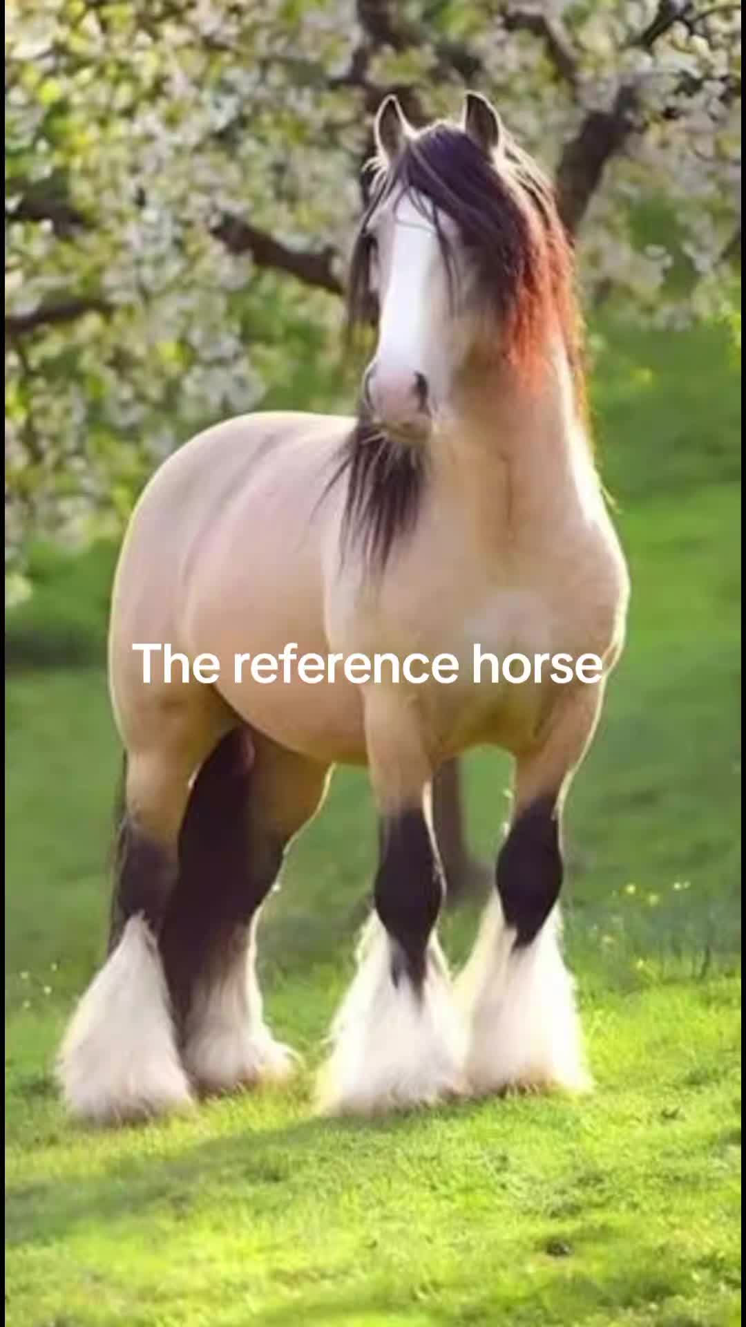 @katie