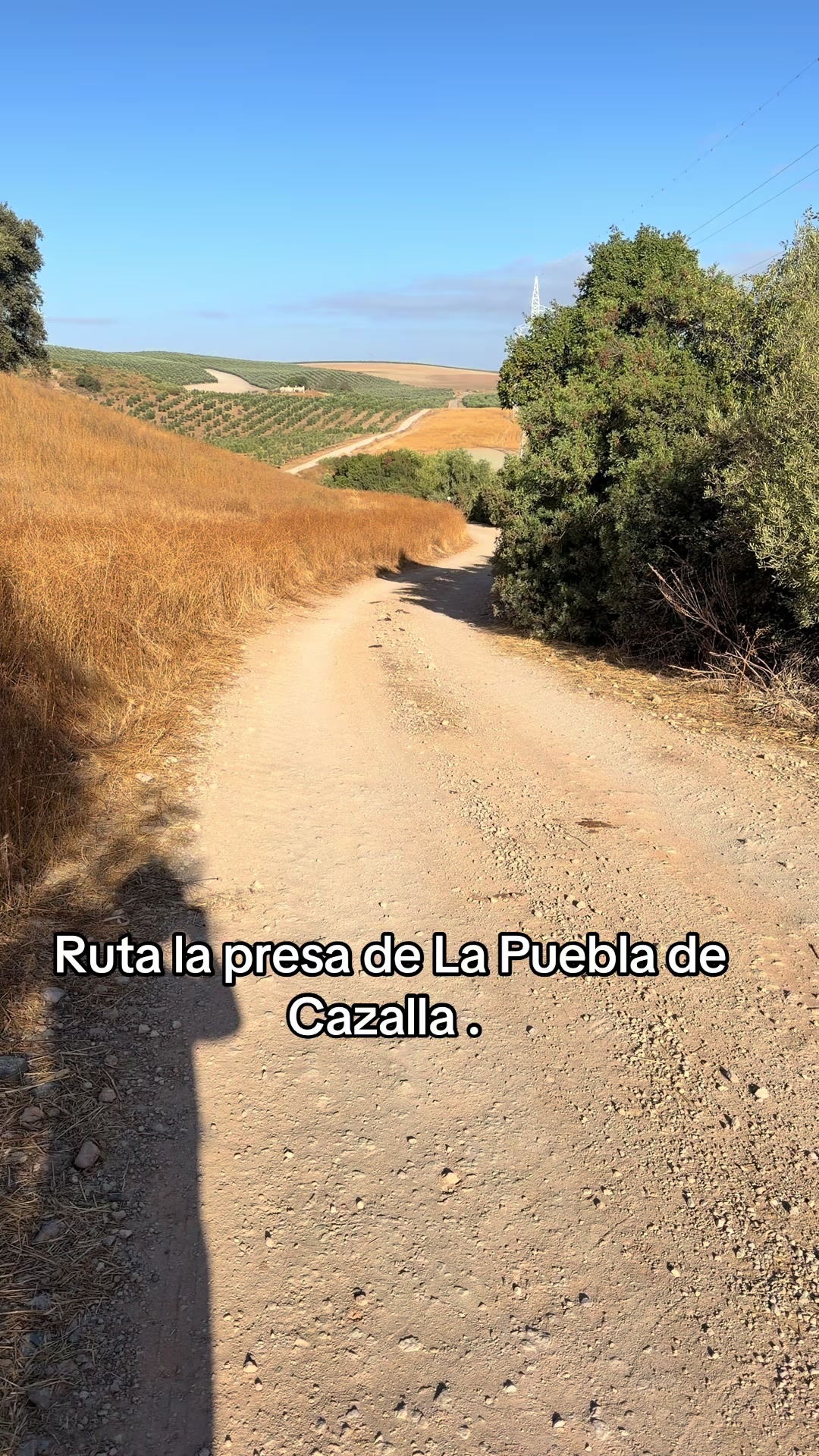 @Raúl Gavira | Pulido de Suelos