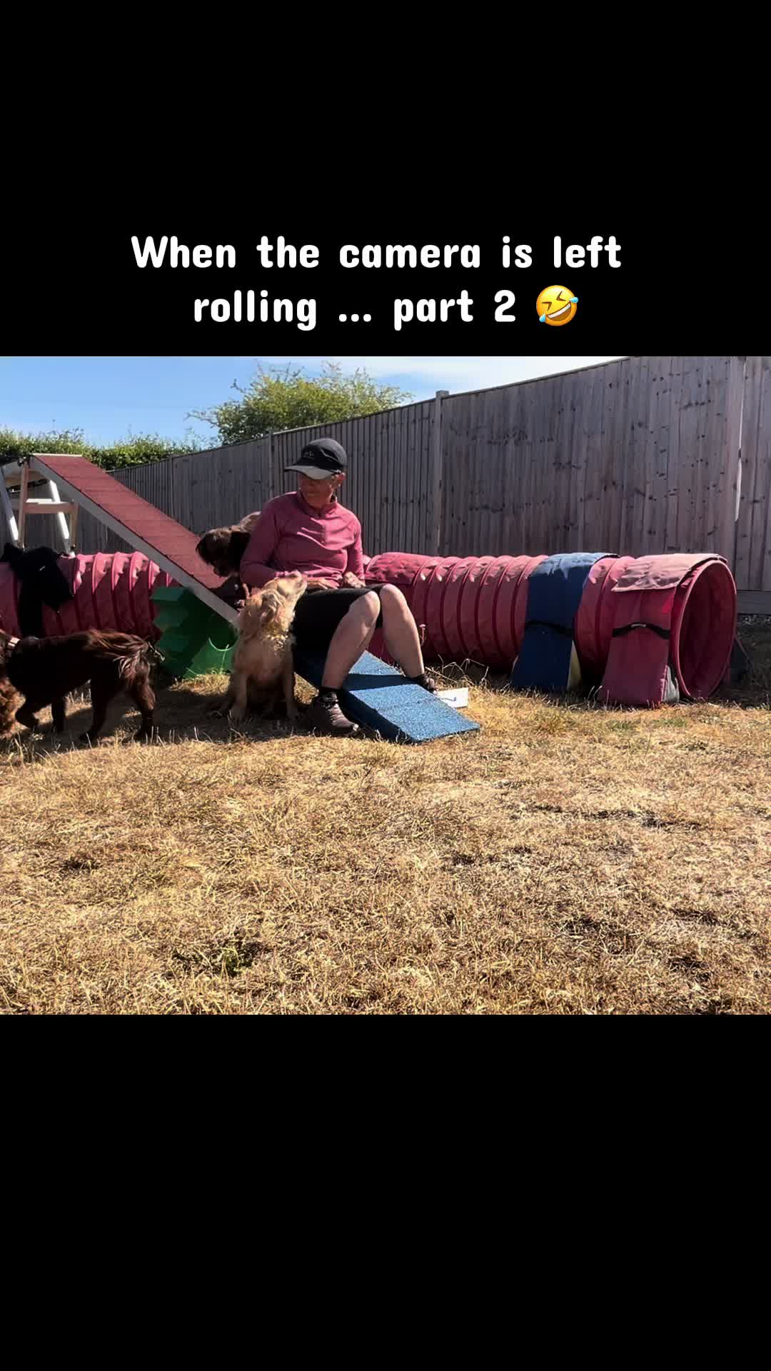 @Pipstar 🐕🦺