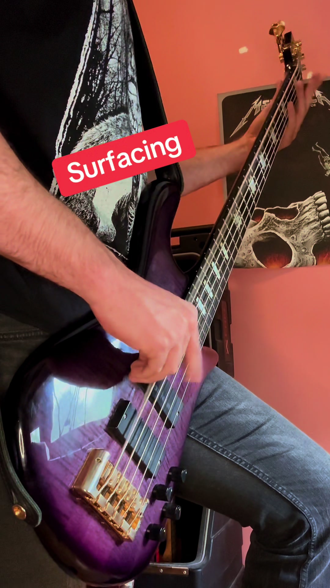 @Bass Player
