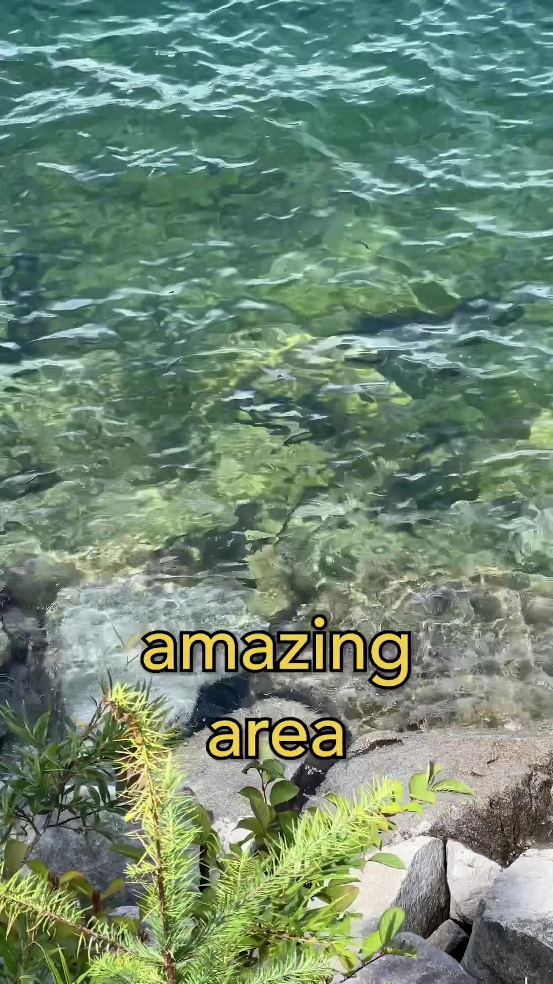 @thattravelguy