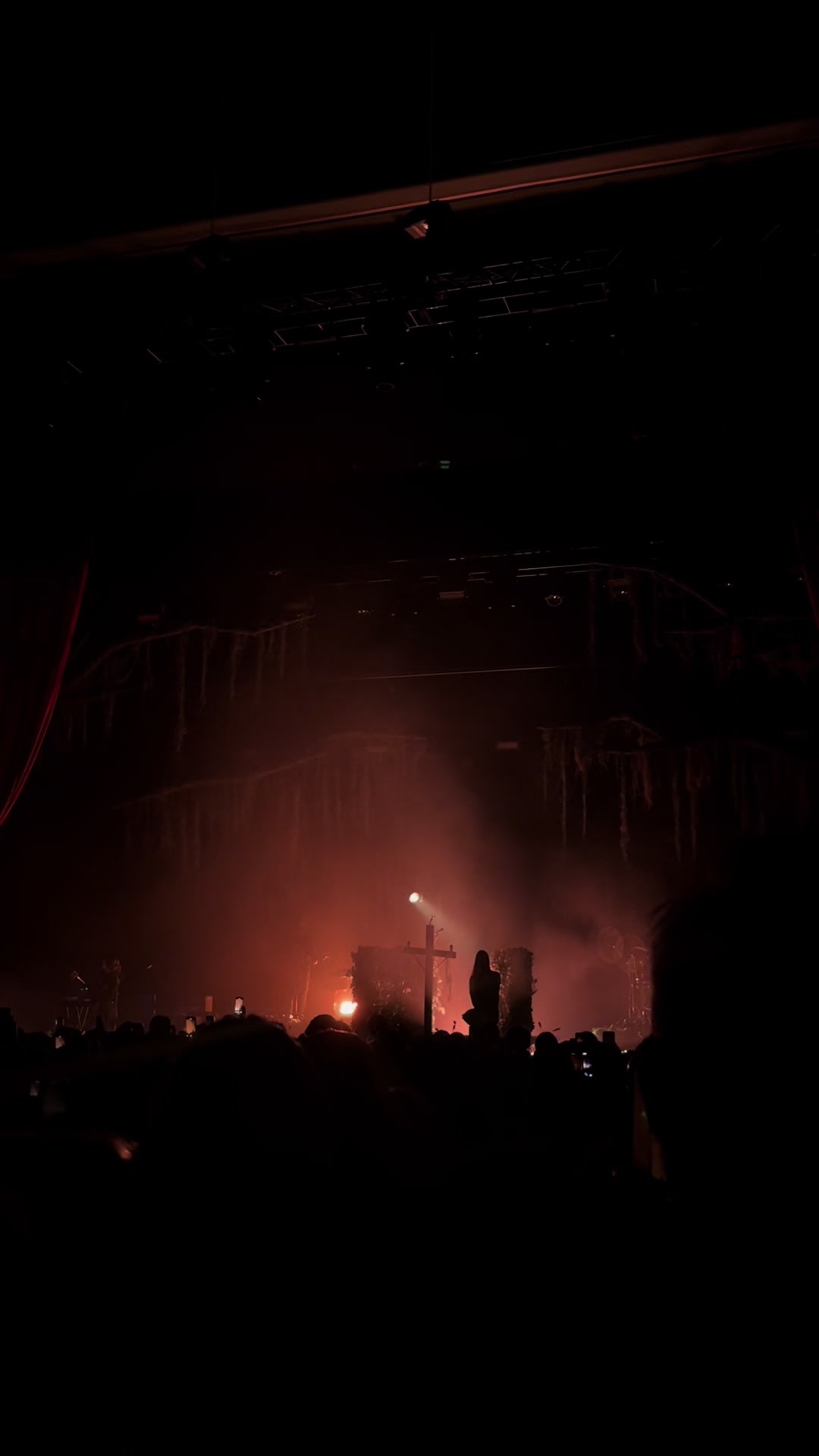 @lily ♪ ༘⋆