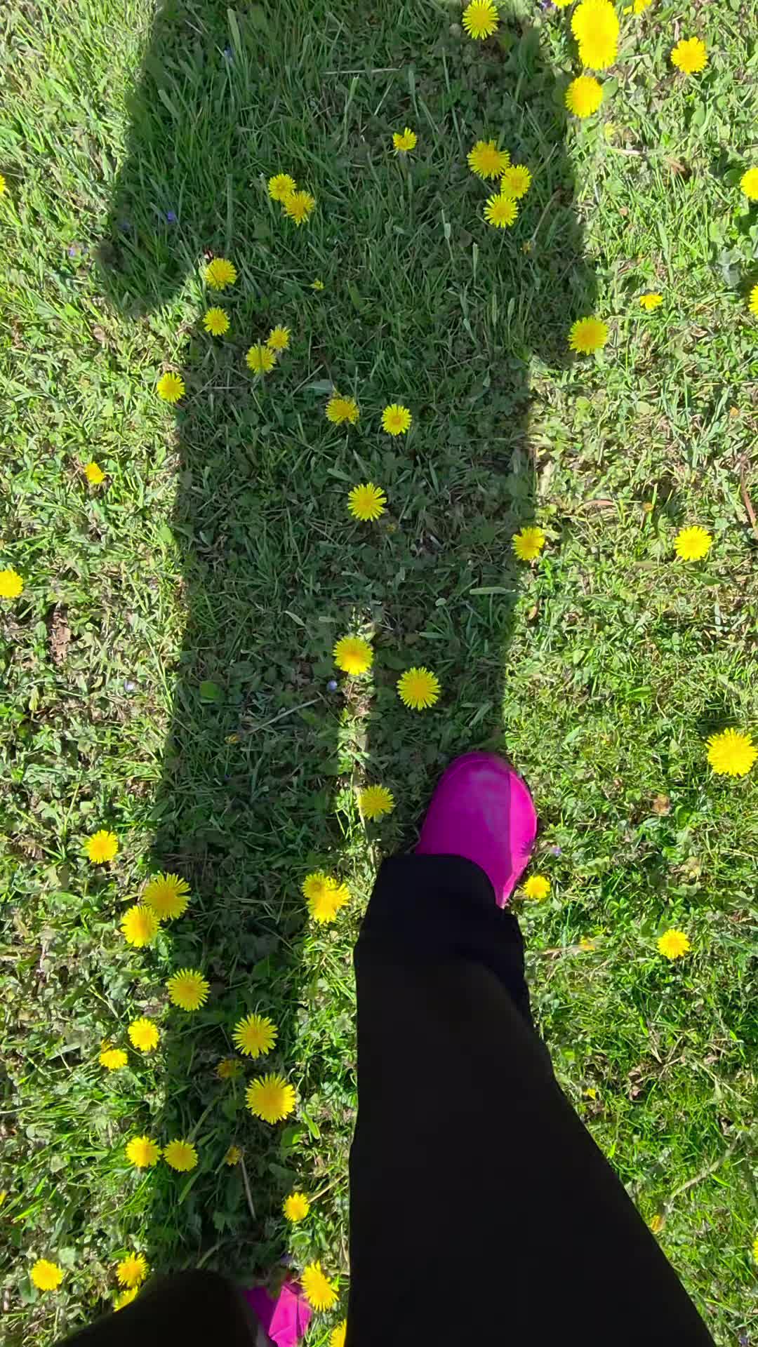 @CiupaHouse 👣 Viața la țară