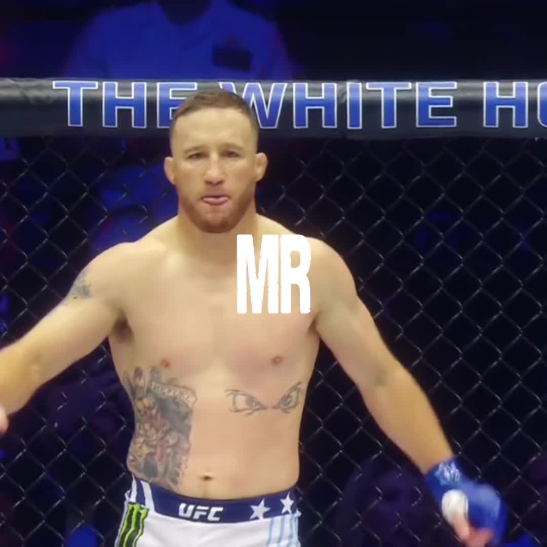 @shamilkanovski