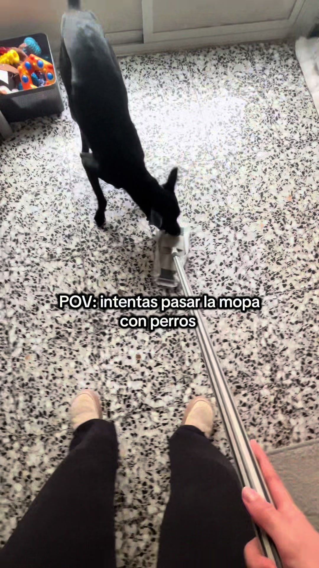 @Ares y Aura