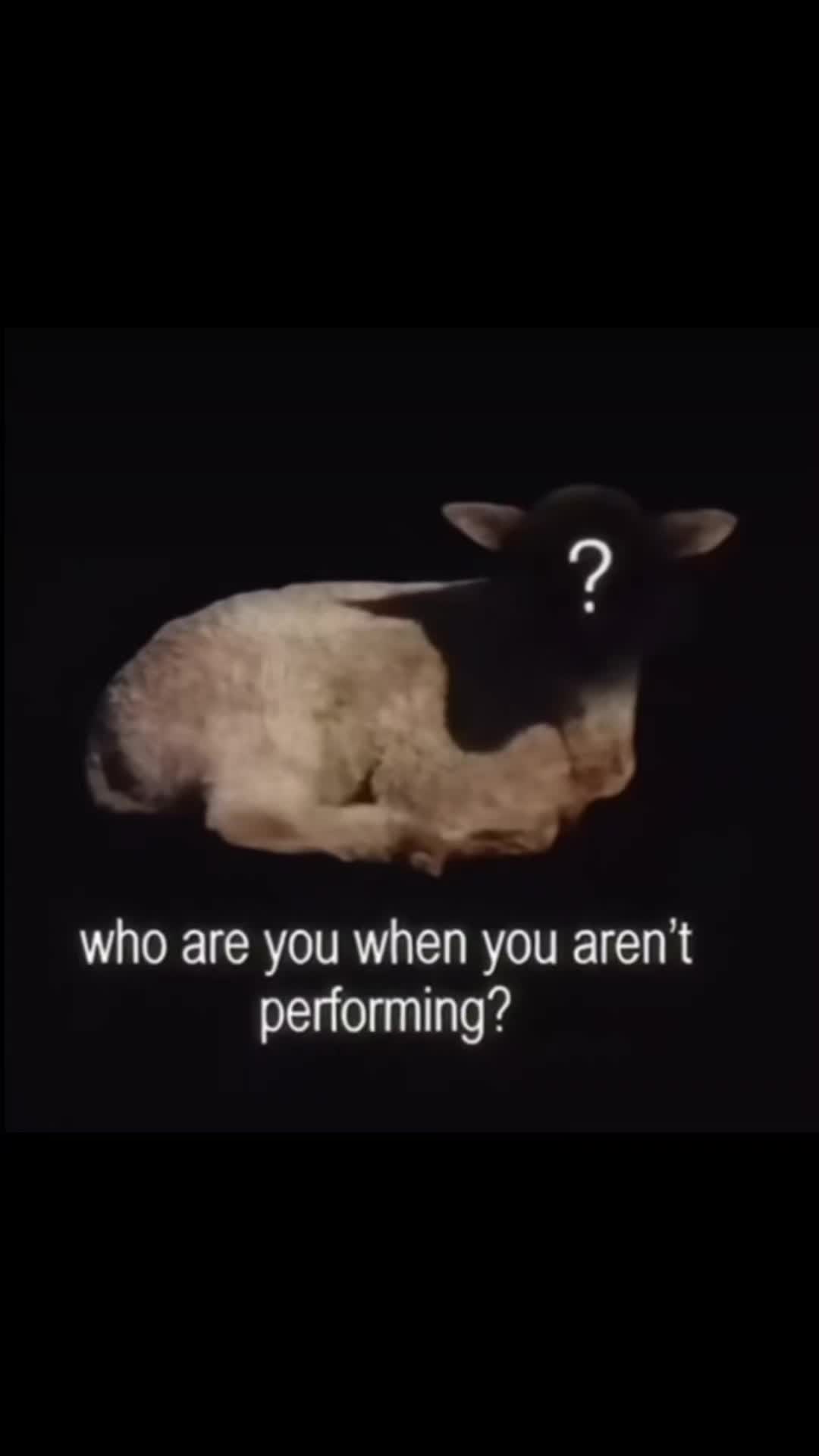 @goetia666