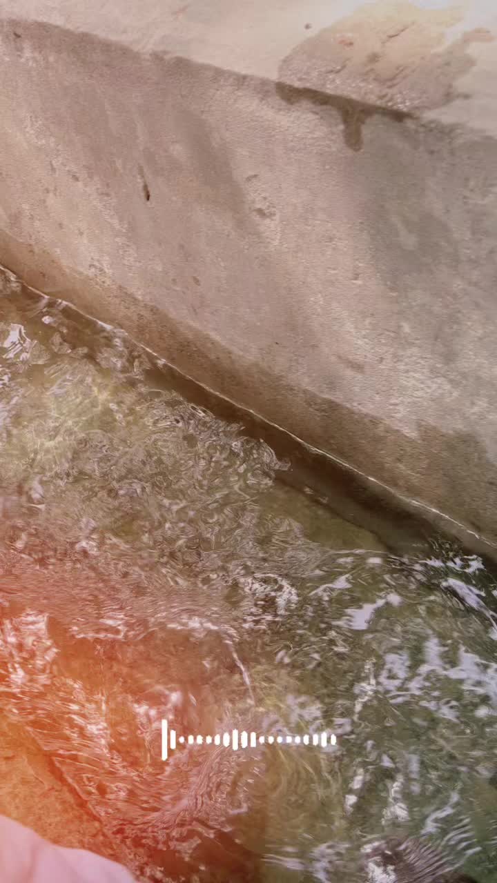 @Dilawar Bhakkar ala