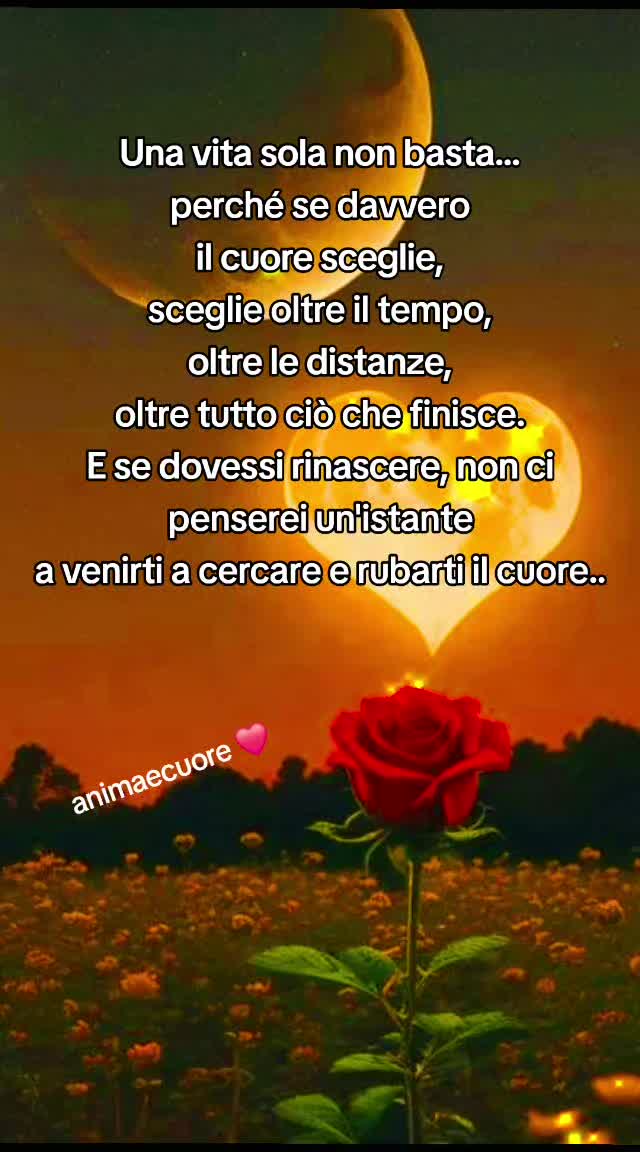 @animaecuore❤