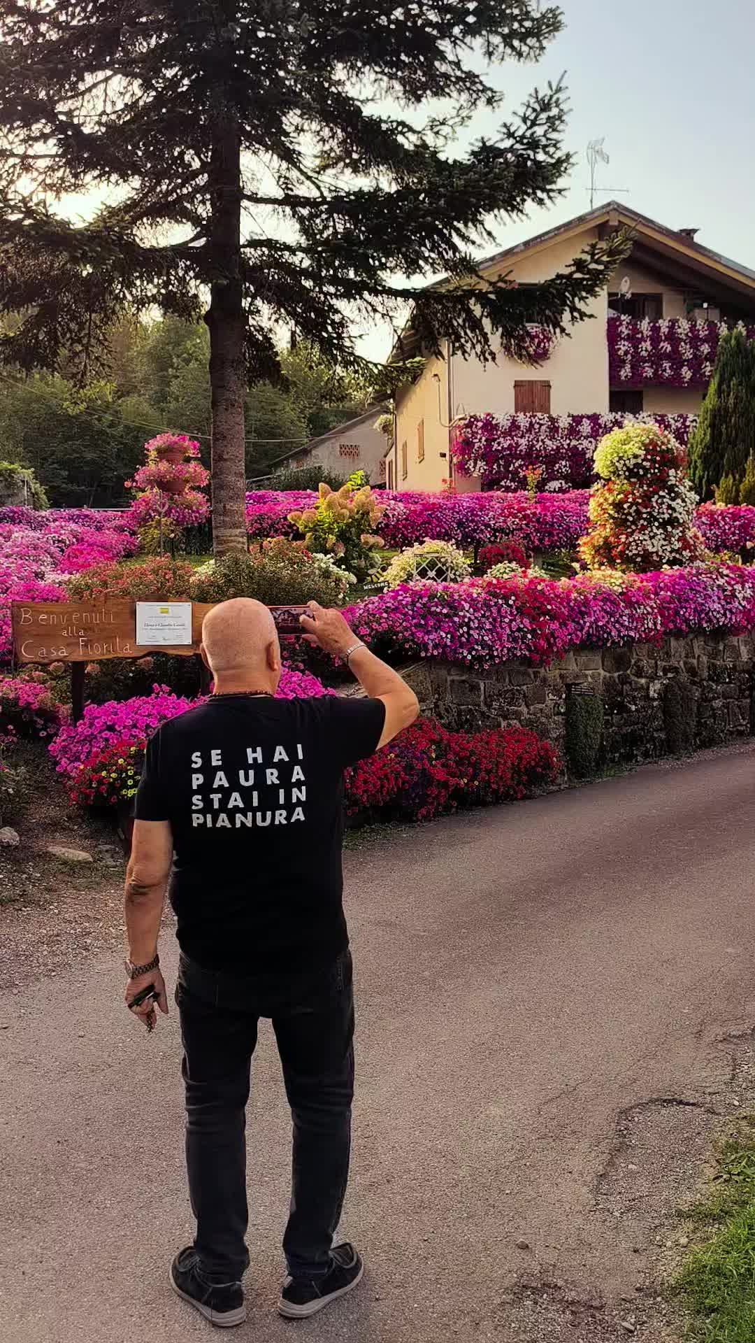 @Elena Vulpe Pilipenc