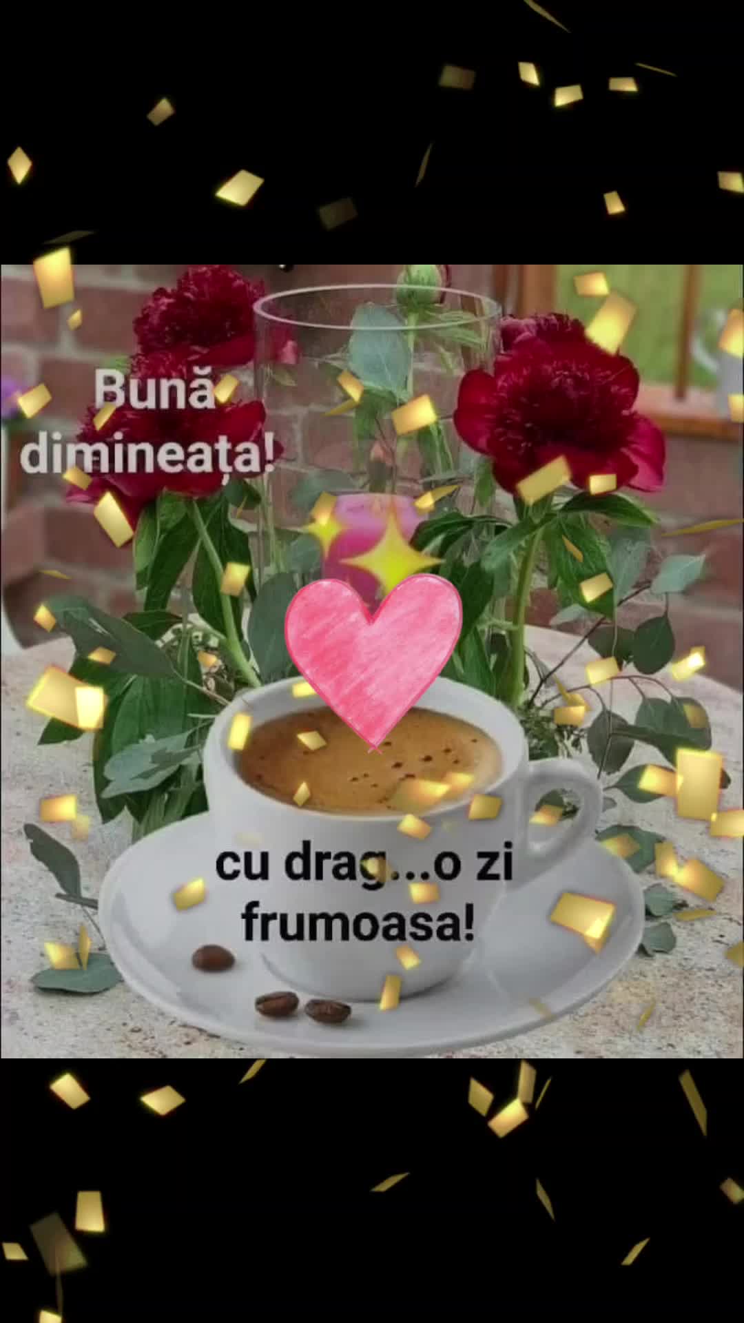 @Nicolae Iamandi Marin