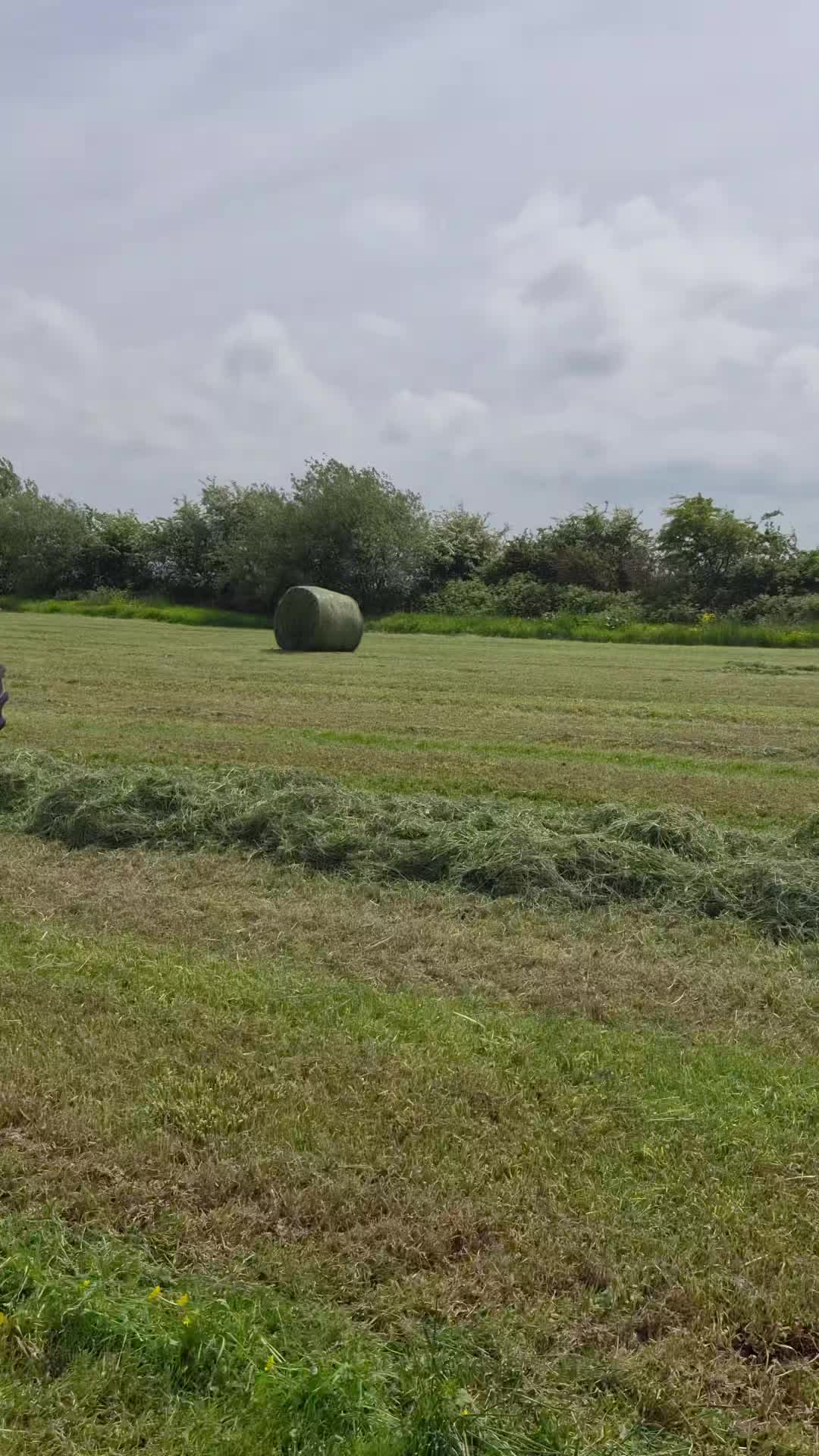@𝘼𝘿𝘼𝙈 𝙈𝘼𝙍𝙏𝙄𝙉