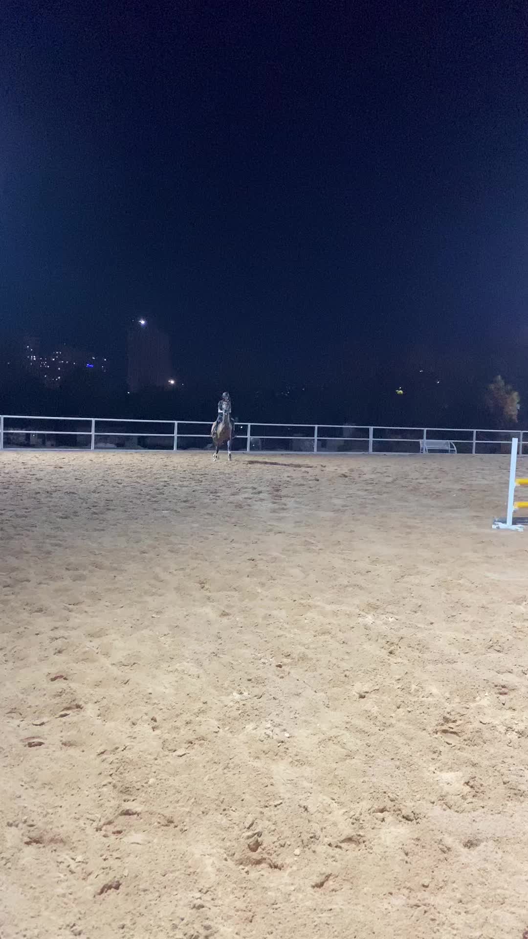 @حە مە🐎🫀