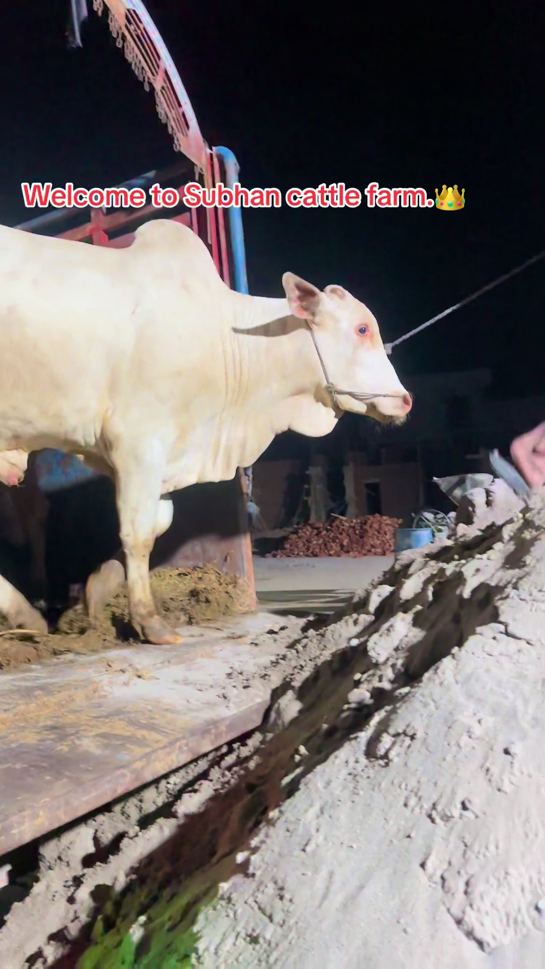 @سبحان کیٹل فارم.🐂🙌