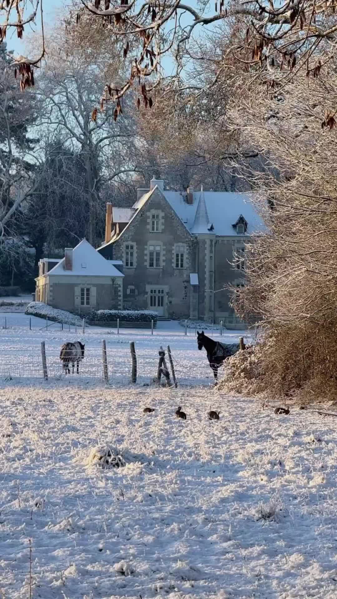 @☃️Wishing for Christmas 🎄